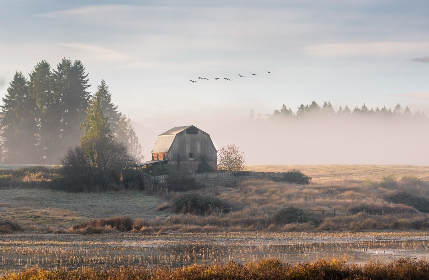 Desktop_2017_01%20copy